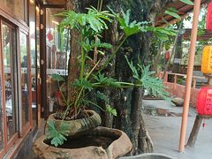 -陶缘一号·四季缘·老字号顺德菜·户外婚礼家宴(西滘店)