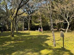 -醍醐寺