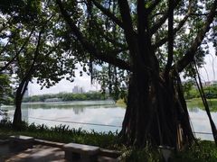 -南宁南湖公园