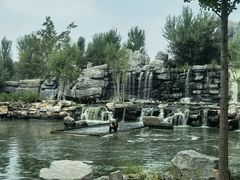 -北京野生动物园