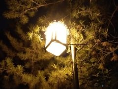 -迎泽公园