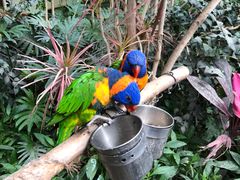 -南宫五洲植物乐园