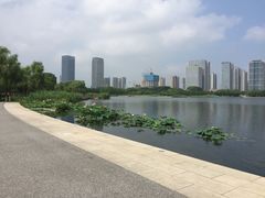 -尚贤河湿地