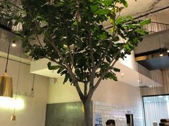 -大树餐厅(红旗街万达店)