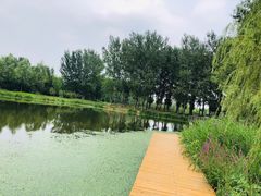 -东郊湿地公园