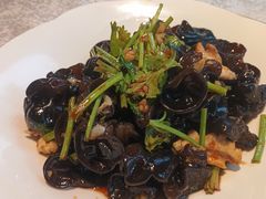 -洞庭家宴·头牌甲鱼(广渠门店)