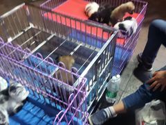 -五一星光夜市(SOHO新天地店)