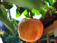 -后海16号·北京私房菜