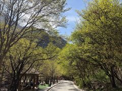 -红崖峡谷景区