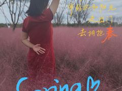 -南通鲜花小镇