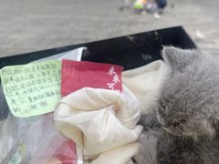 -宝通禅寺