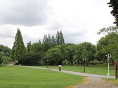 -苏州上方山国家森林公园