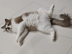 -龙湖重庆时代天街