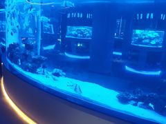 -上和臻品中国菜(花园街店)