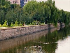 -元大都城垣遗址公园