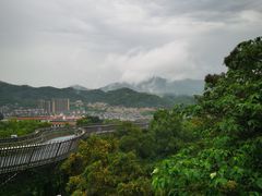 -福道