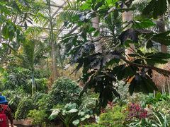 -南山植物园