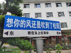 -头上红煨盐鸡·非遗院子餐厅