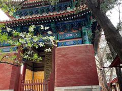 -北京国子监胡同