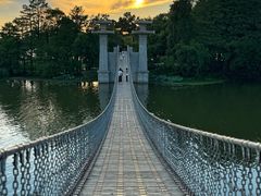 -东湖落雁景区