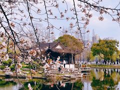 -莫愁湖公园