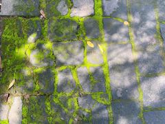 -大运河源头遗址公园