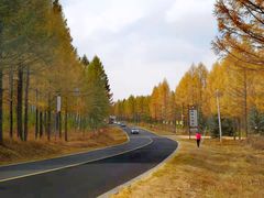 -塞罕坝国家级自然保护区