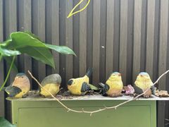-绿房子方寸咖啡(星海名城店)