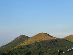 -大姆山草场