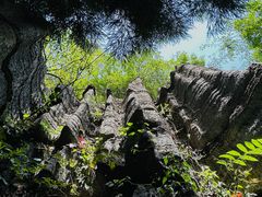 -梭布垭石林景区