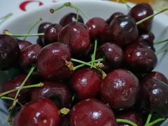 -双福水果批发市场