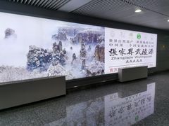 -张家界荷花国际机场