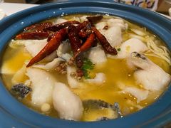 -Aqua Oasis 水天堂(相城天虹商场店)