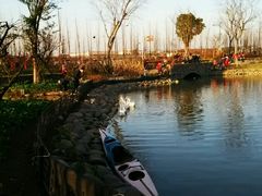 -田园东方蜜桃村的田野营地