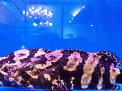 -东门烤鸭店(鼓楼店)