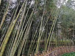-新虹桥中心花园