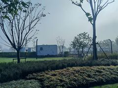 -梁鸿国家湿地公园