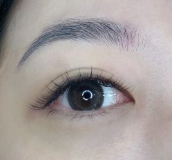 -BELLAREAL新美社