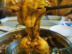 鲜活牛蛙-蛙两只美蛙鱼头火锅(恒茂店)