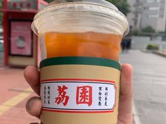 錫蘭檸檬茶-荔園 LaiYuen