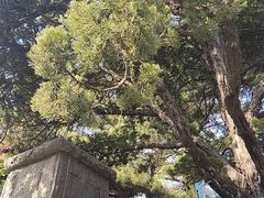 -公主楼