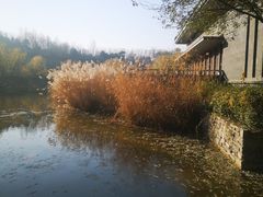 -鹦鹉寺公园