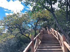 -大岭沟猕猴桃谷风景区