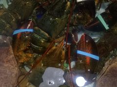 -石塘路海鲜市场(草厂中路店)