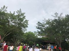 -七珍佛山