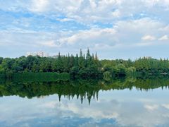 -成都南湖公园