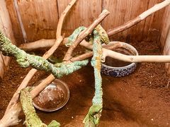 -上海大自然野生昆虫馆(东方明珠·爬宠昆虫探索中心)