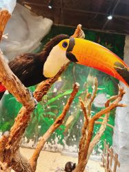 -Zoolung Zoolung动物主题公园(海信广场店)