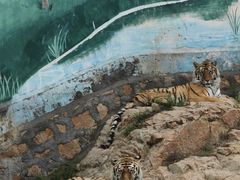 -西霞口神雕山野生动物世界