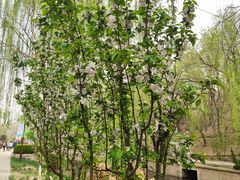 -元大都城垣遗址公园